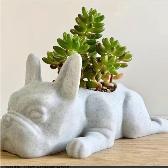 Adorable Mini Bulldog Succulent Planter - Picture 4 of 5
